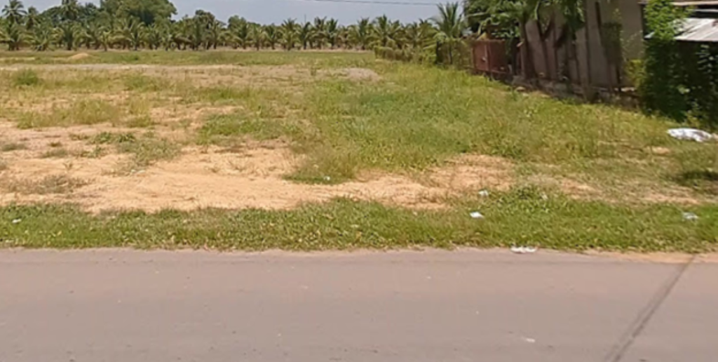 thuviennhadat.vn