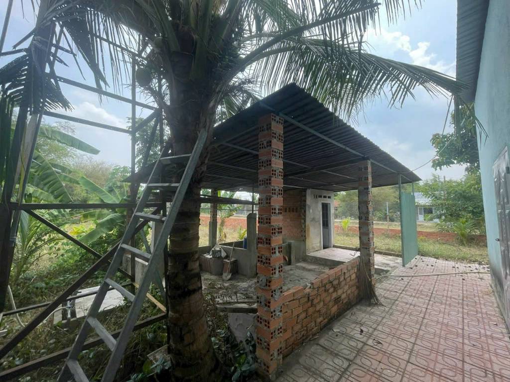 thuviennhadat.vn
