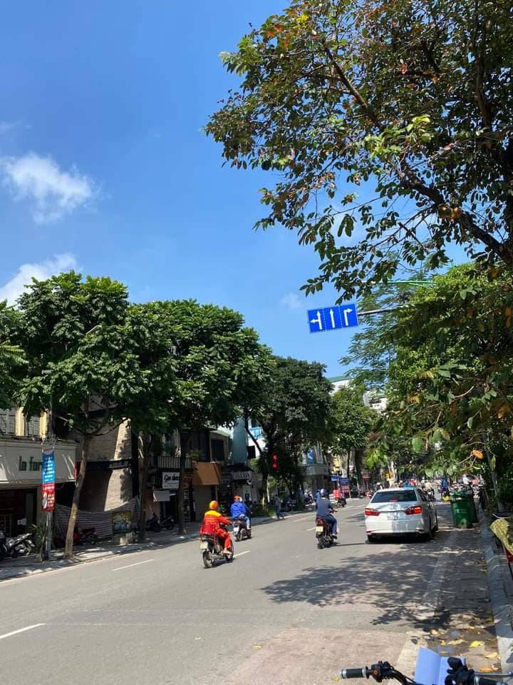 thuviennhadat.vn