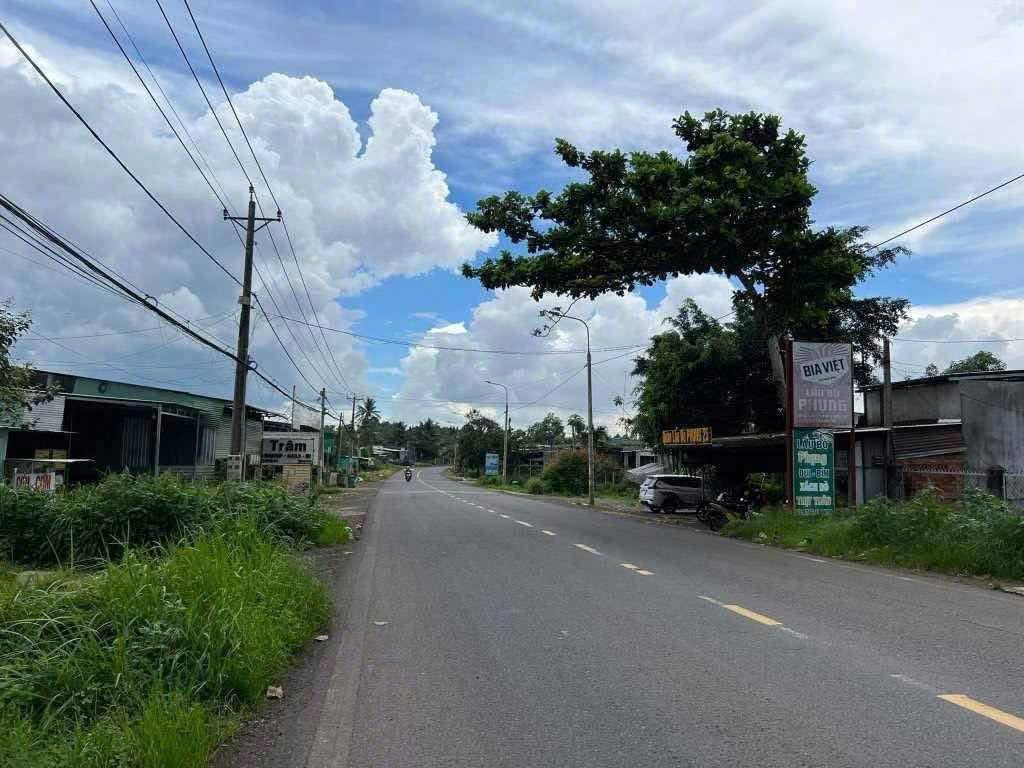 thuviennhadat.vn