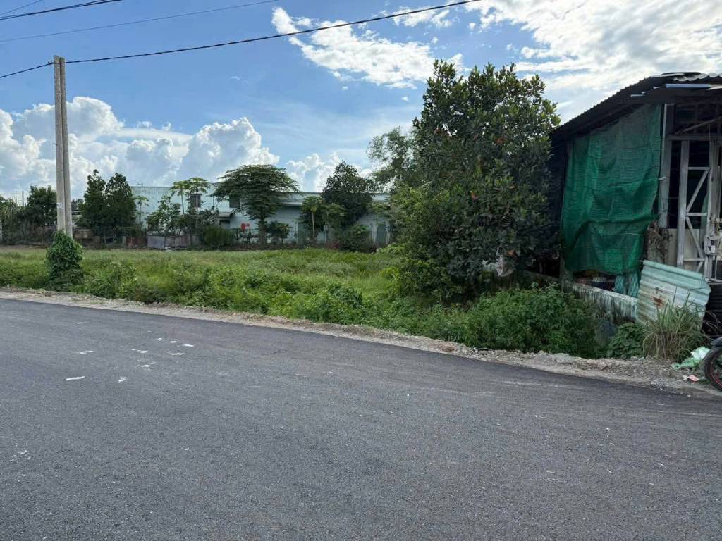 thuviennhadat.vn