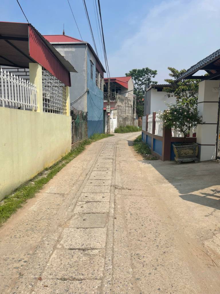 thuviennhadat.vn