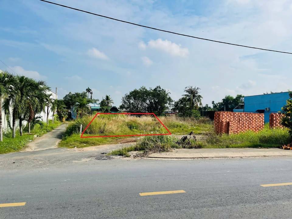 thuviennhadat.vn