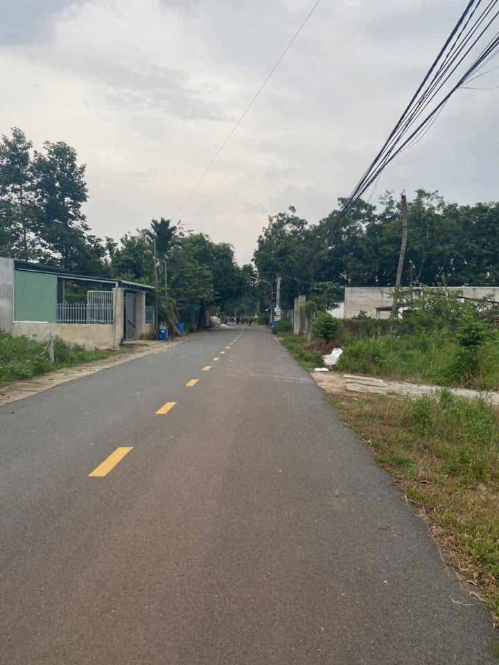 thuviennhadat.vn