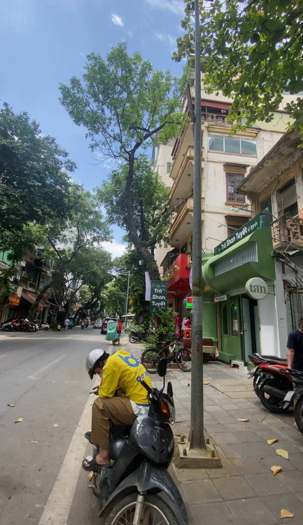 Mặt phố Triệu Việt Vương, dòng tiền 13 tỷ/năm, 10 tầng, mặt tiền khủng 12m, chỉ 205 tỷ