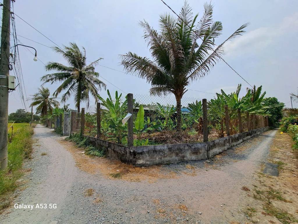 thuviennhadat.vn
