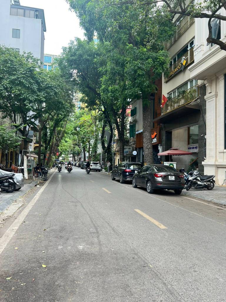 thuviennhadat.vn