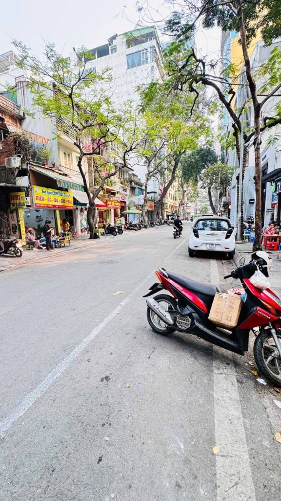 thuviennhadat.vn