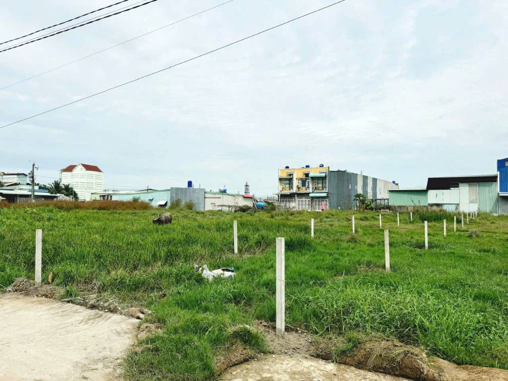 thuviennhadat.vn