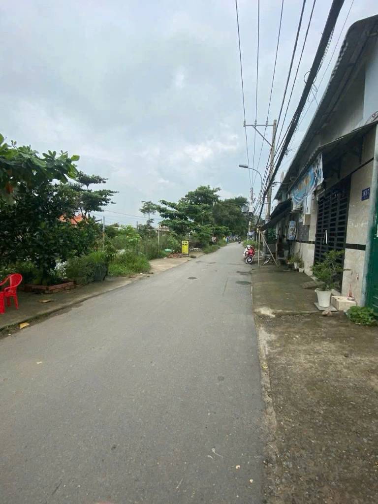 thuviennhadat.vn