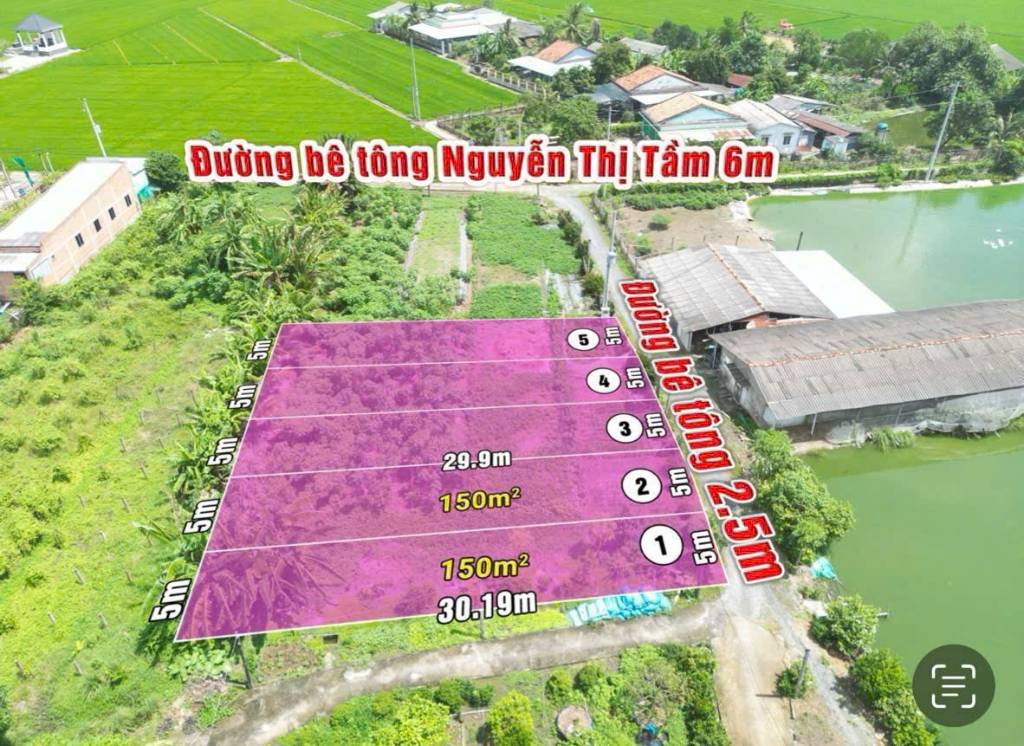 thuviennhadat.vn
