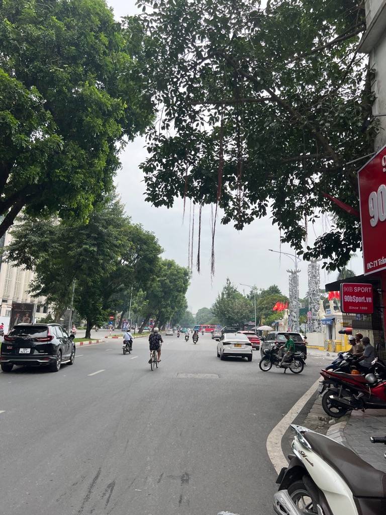 thuviennhadat.vn