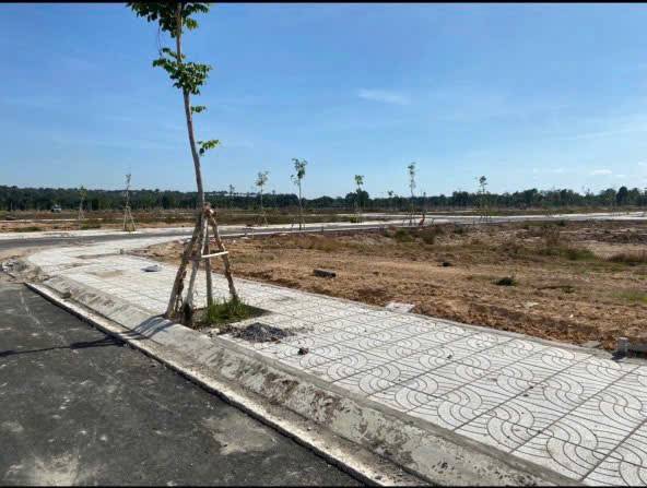 thuviennhadat.vn