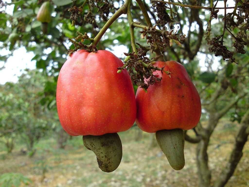 thuviennhadat.vn