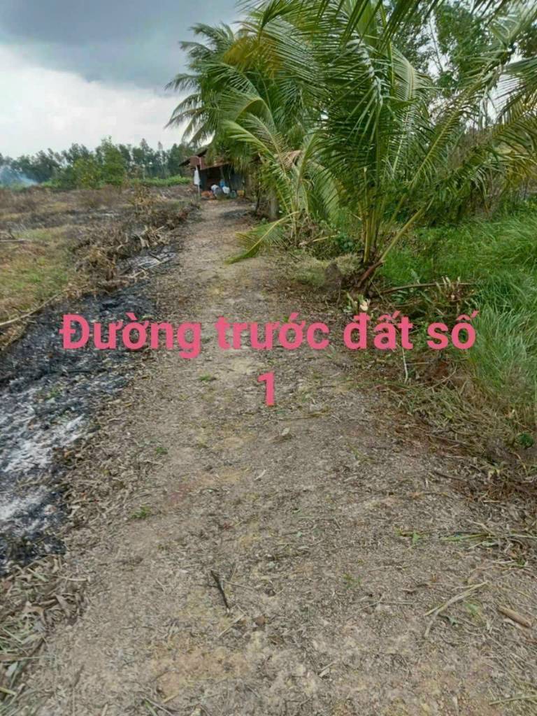 thuviennhadat.vn