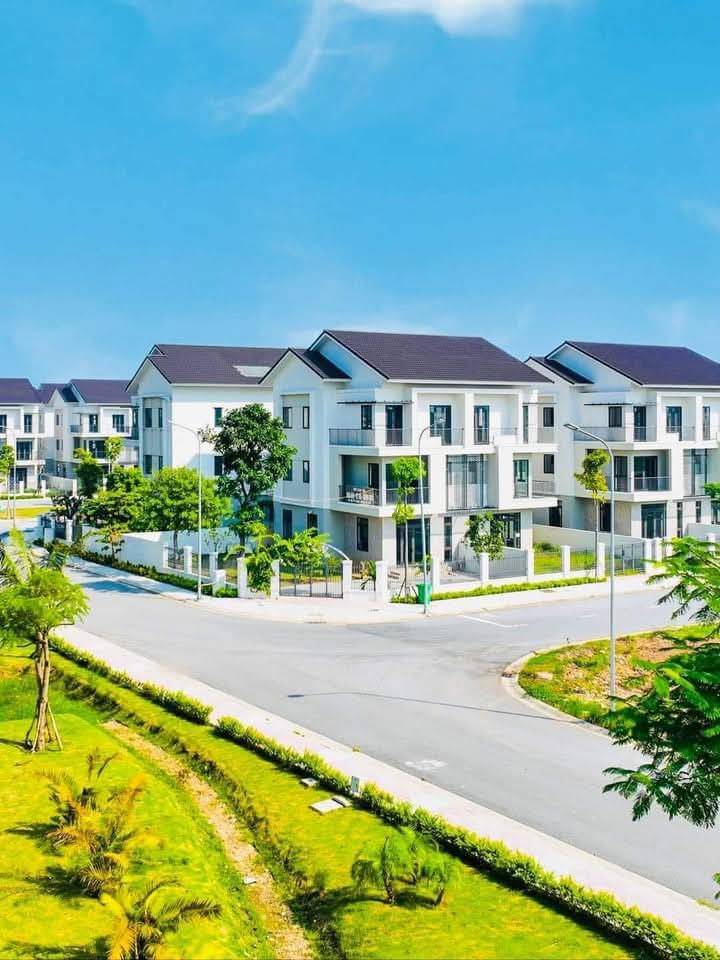 thuviennhadat.vn