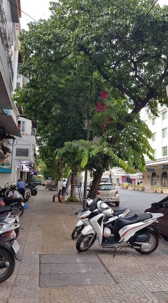 thuviennhadat.vn