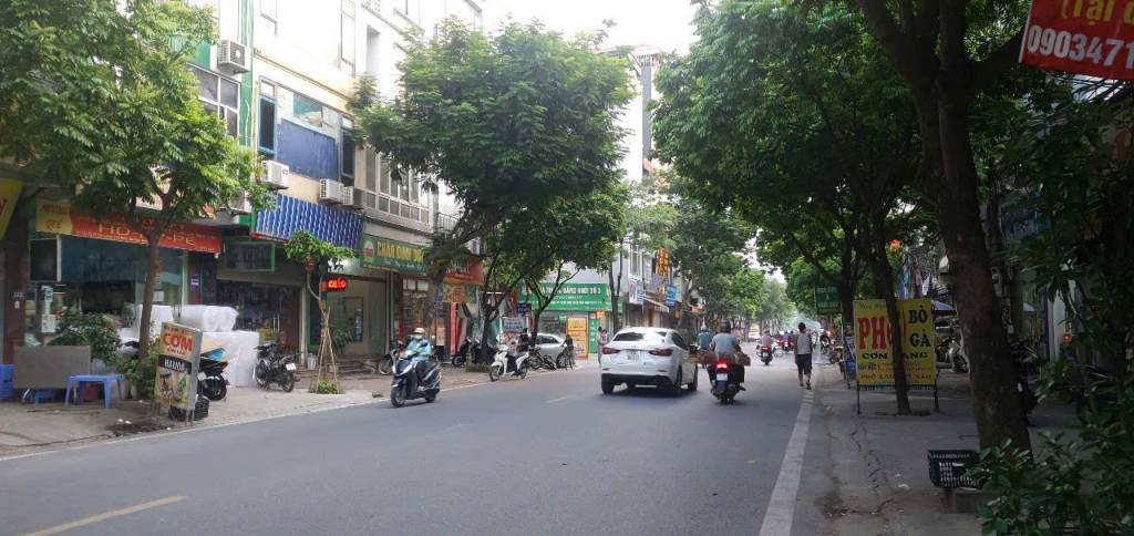 thuviennhadat.vn