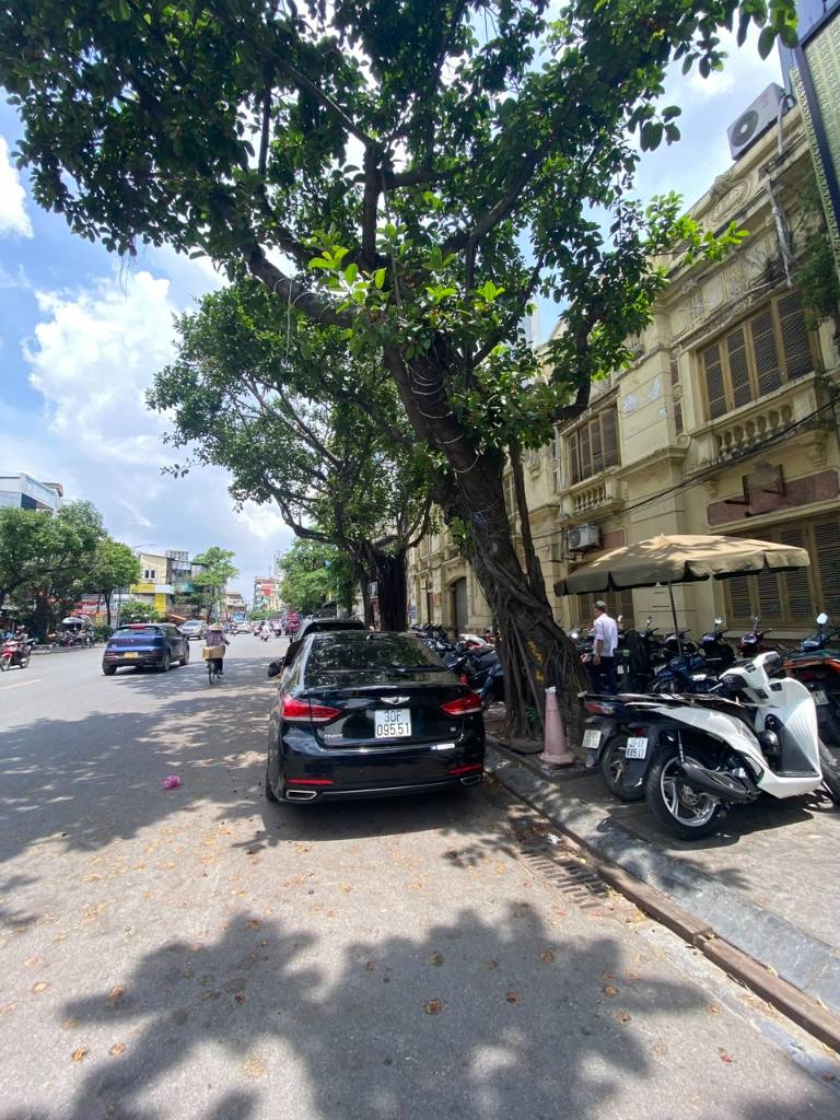 thuviennhadat.vn