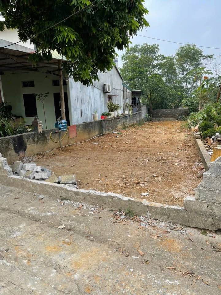 thuviennhadat.vn