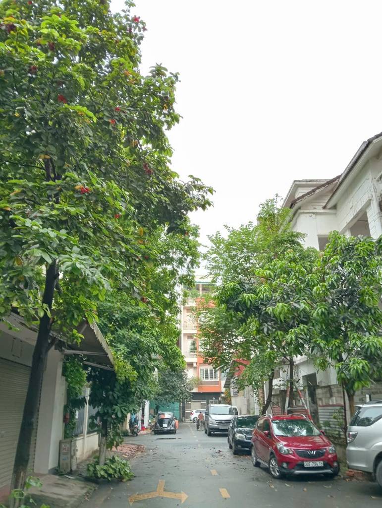 thuviennhadat.vn