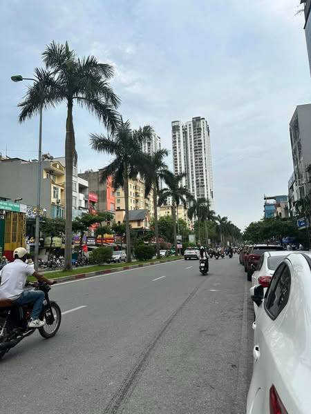 thuviennhadat.vn