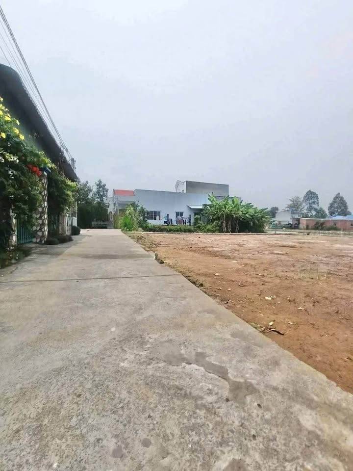 thuviennhadat.vn