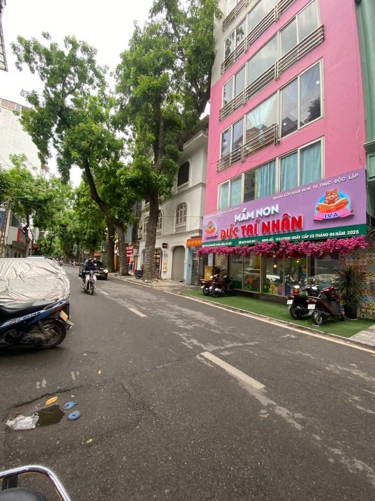 thuviennhadat.vn