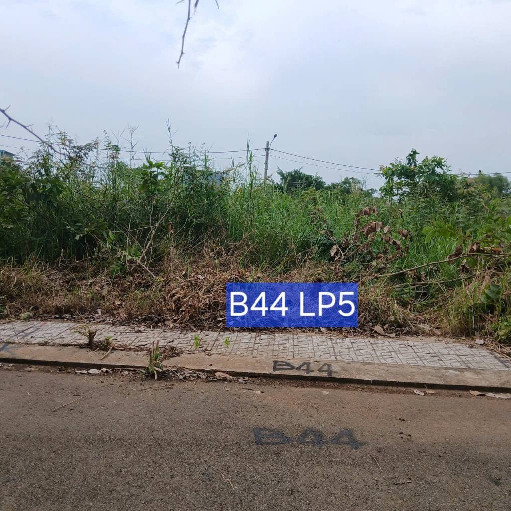 thuviennhadat.vn