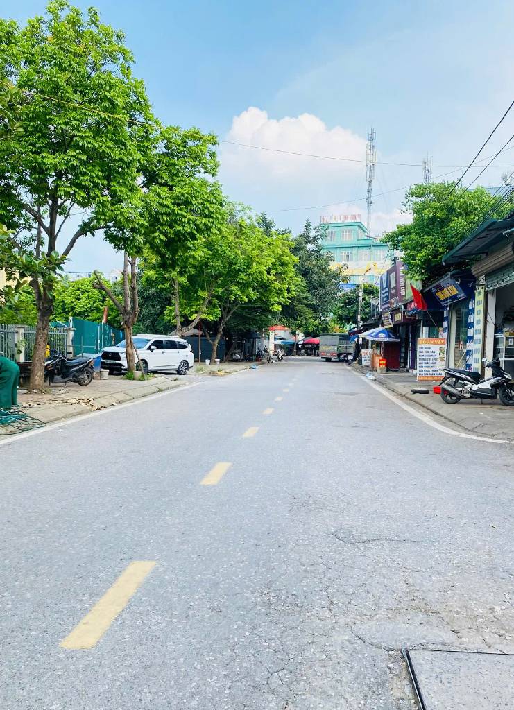 thuviennhadat.vn