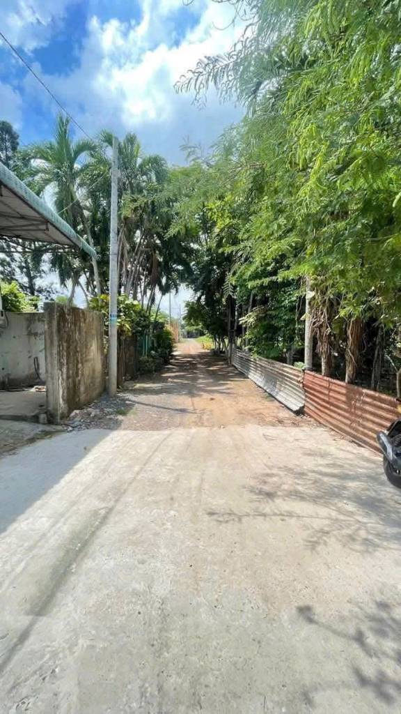 thuviennhadat.vn