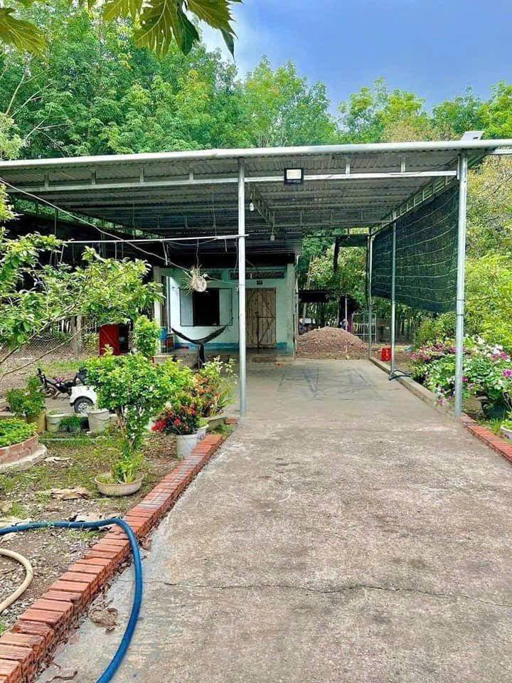 Bán nhà 600m² Xã Minh Thạnh, Dầu Tiếng, Bình Dương giá chỉ 600 triệu