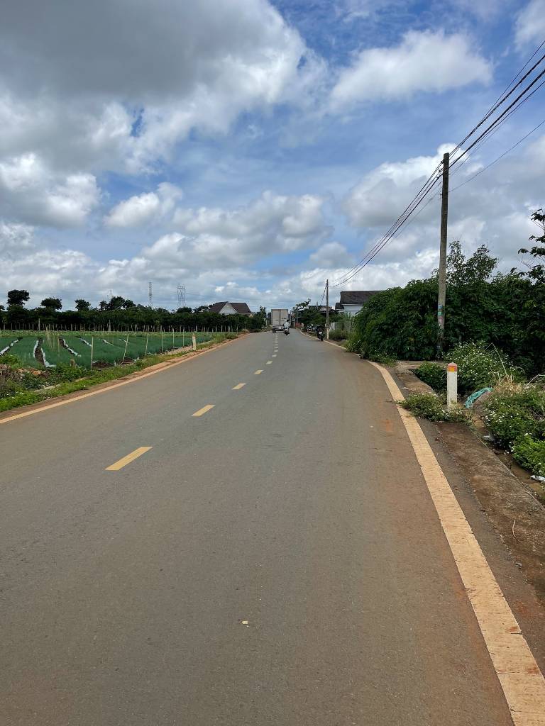 thuviennhadat.vn