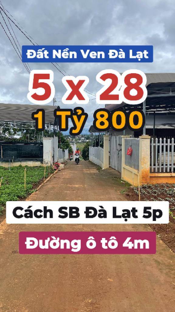 thuviennhadat.vn