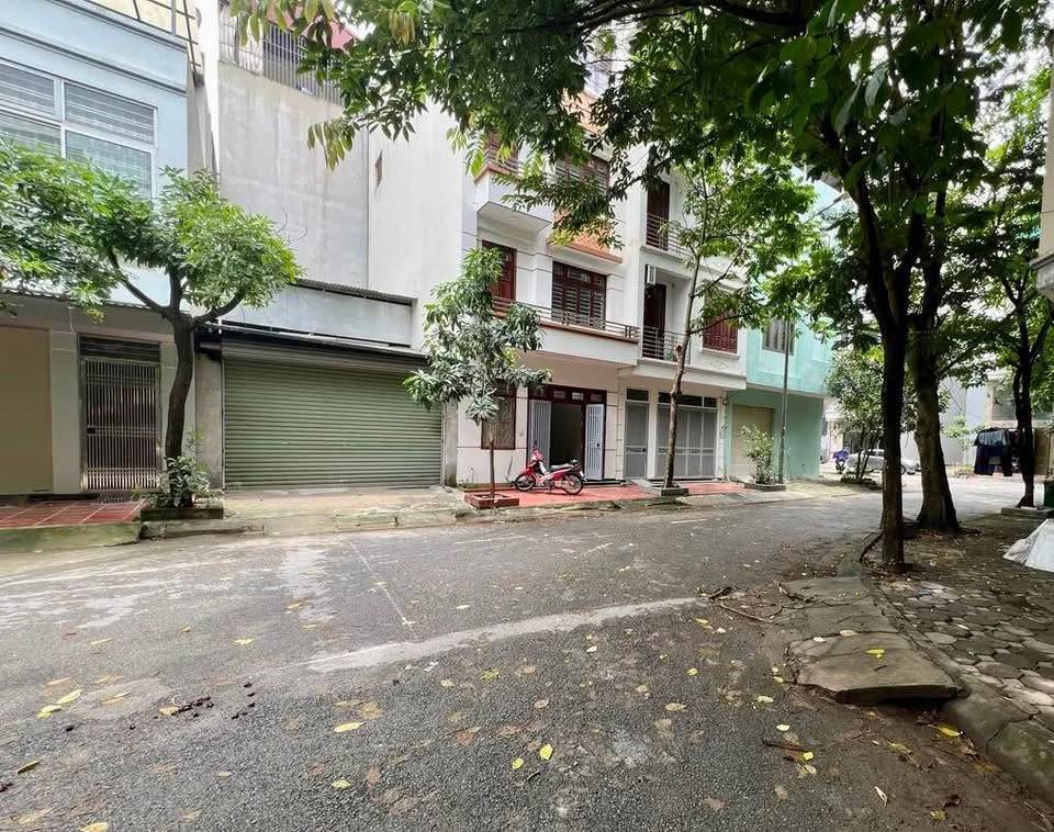 thuviennhadat.vn