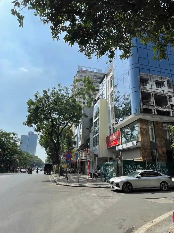 thuviennhadat.vn