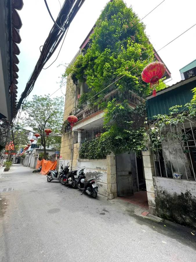 thuviennhadat.vn