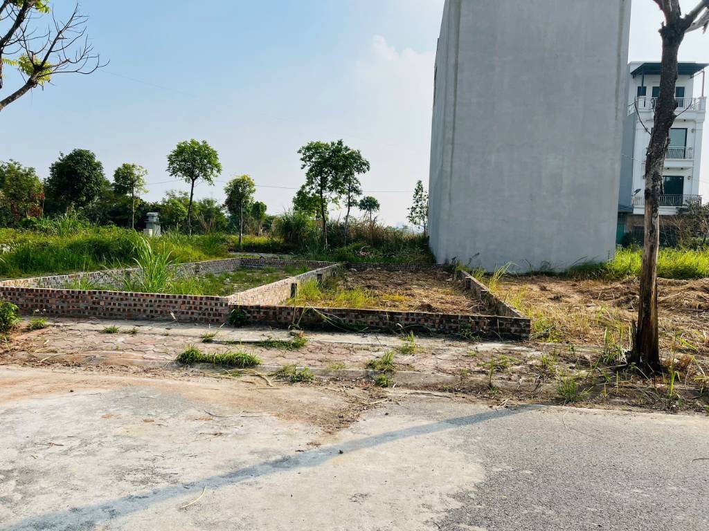 thuviennhadat.vn