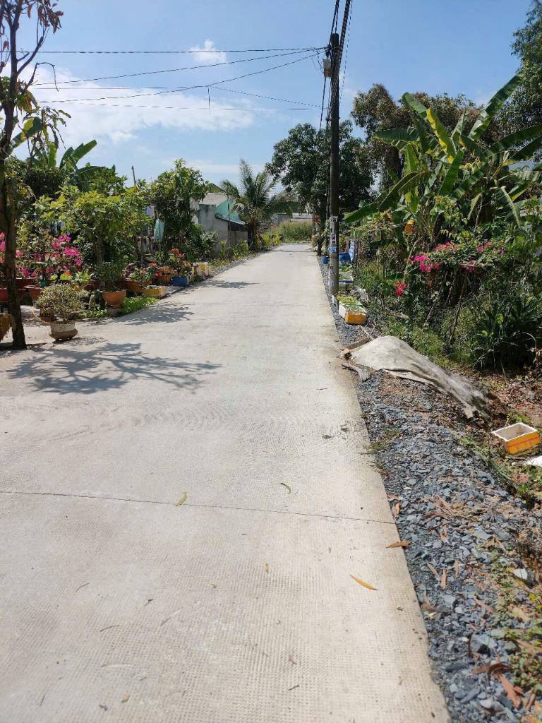 thuviennhadat.vn