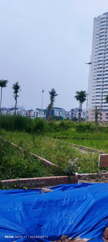 thuviennhadat.vn