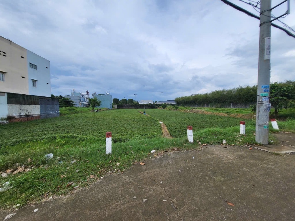 Bán khu đất lớn rộng 4000m2 mặt tiền Nguyễn Thị Thử kế bên Rinrinpark giá 75 tỷ