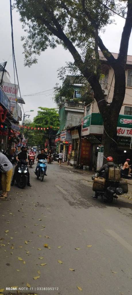 thuviennhadat.vn