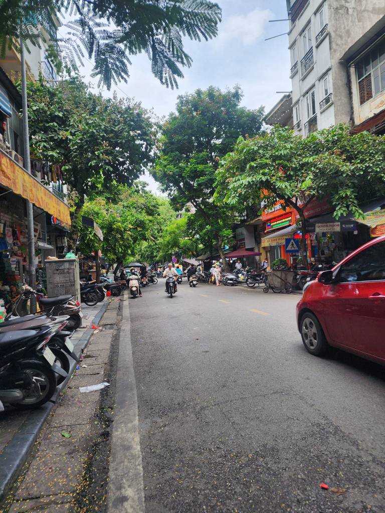 thuviennhadat.vn