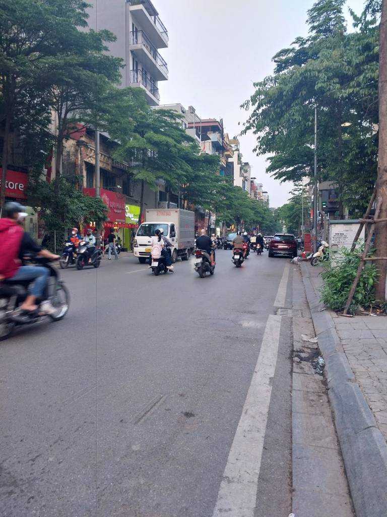 thuviennhadat.vn