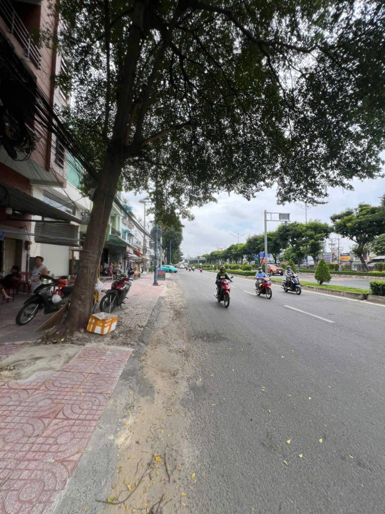 thuviennhadat.vn