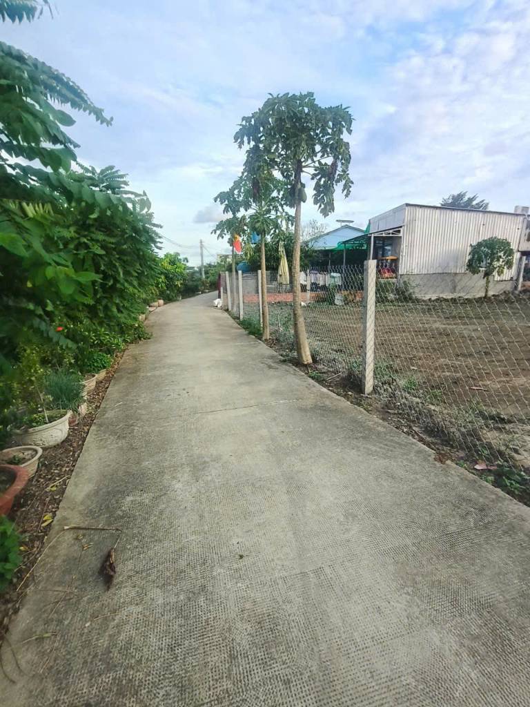1899m2 đất thổ (918m2) + lúa , đường đan xã Thuận Thành, Cần Giuộc, Long An giá 7,5 tỷ