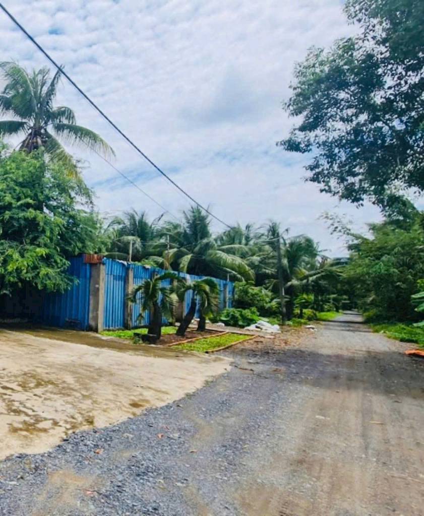 thuviennhadat.vn