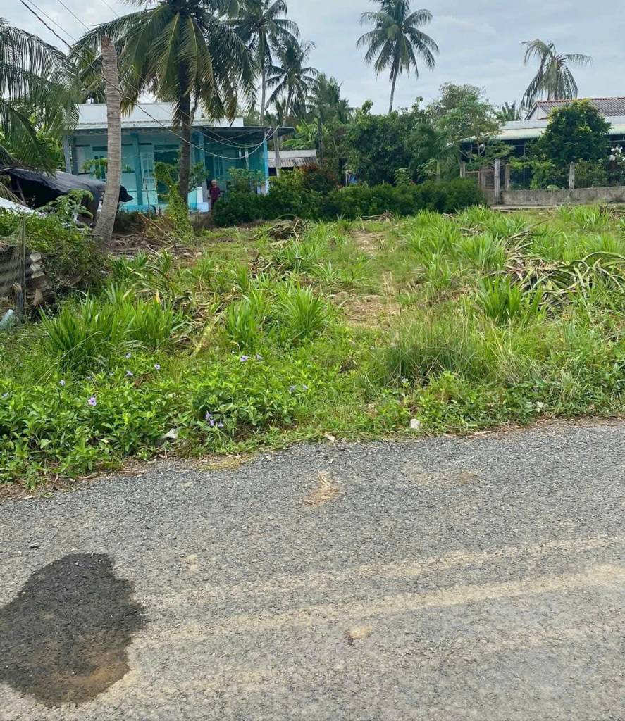 thuviennhadat.vn