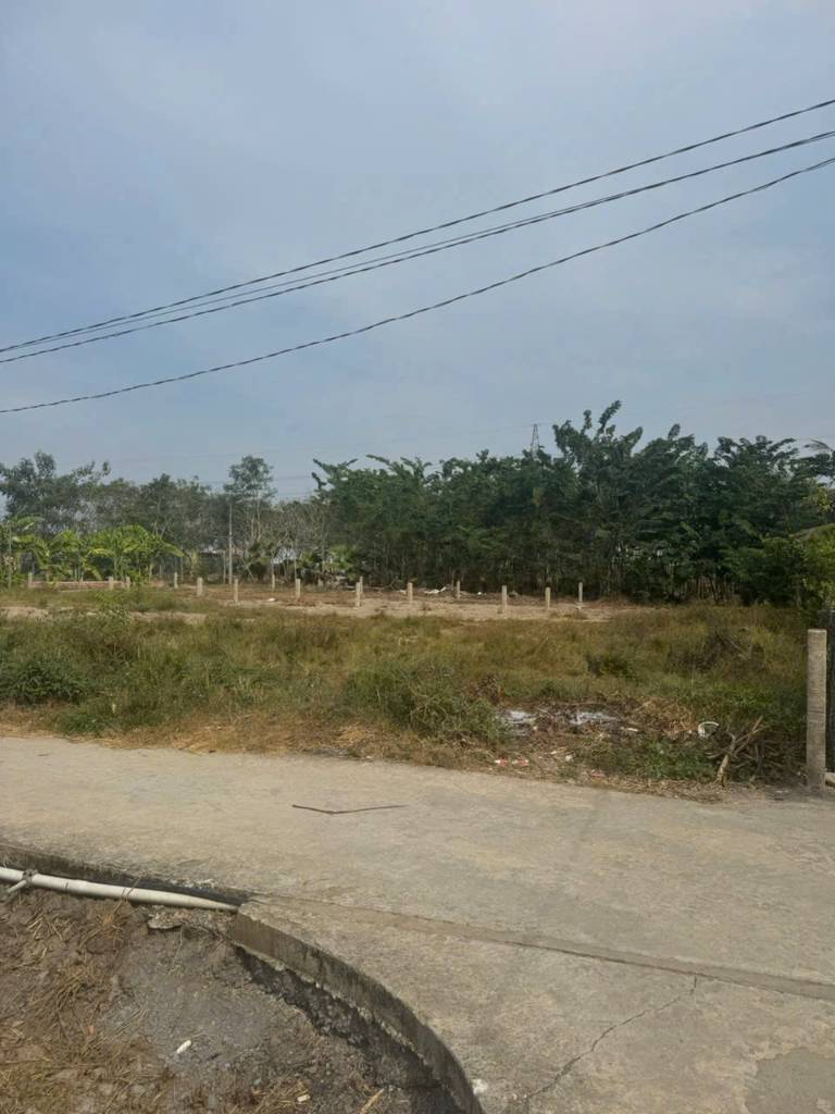 Bán nền thổ 5x30m đối diện KCN An Nhựt Tân, cách chợ 150m, xã Nhựt Tảo, Tây Ninh