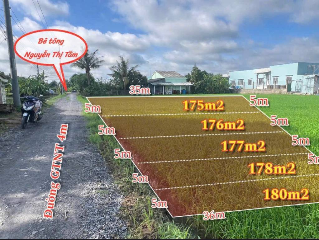 Bán nền thổ 5x35m MT đường GTNT 4m, cách TL833 chợ Bình Lãng 700m, xã Tân Trụ, Tây Ninh